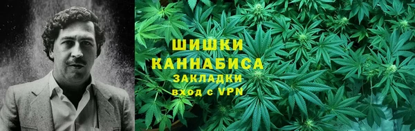 гидропоника Алзамай
