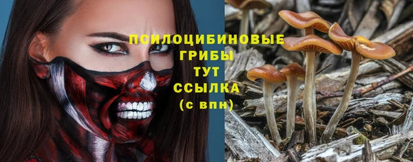 гидропоника Алзамай