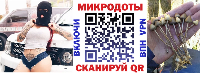где купить наркоту  Коркино  Галлюциногенные грибы MAGIC MUSHROOMS 